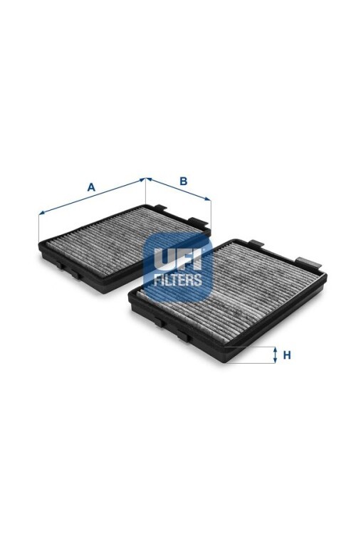 POLEN FILTRESI X2 BMW E39 KARBONLU