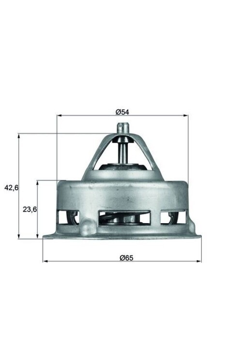 TERMOSTAT Thermostat insert