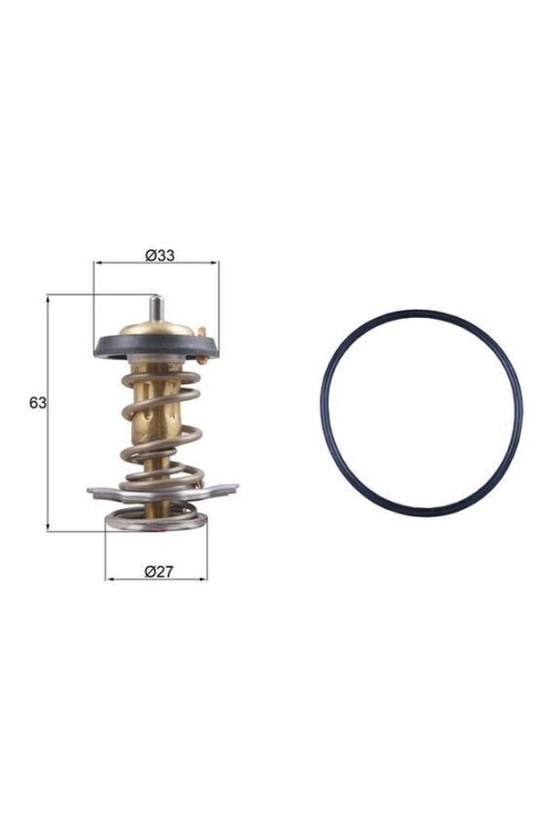 TERMOSTAT Thermostat insert