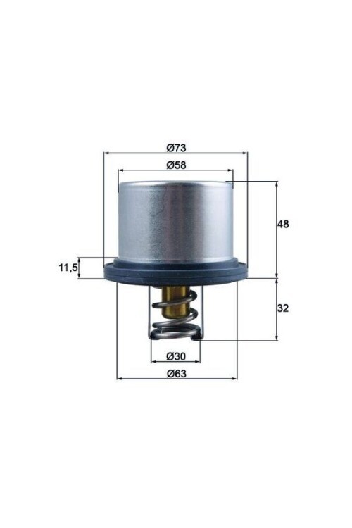 TERMOSTAT Thermostat insert