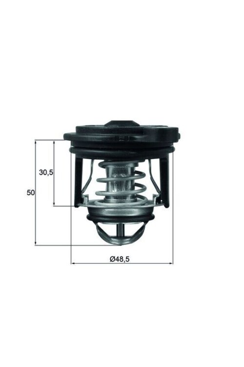 TERMOSTAT Thermostat. integral