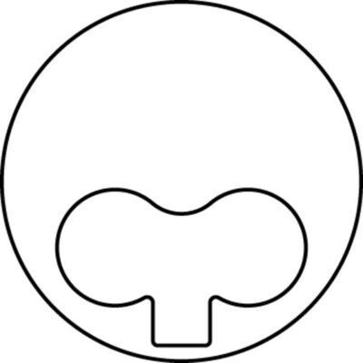 x MOTOR PİSTON SEGMAN STD DUCATO-MASTER 2.5D 93.00 8140 67.2700.Euro2