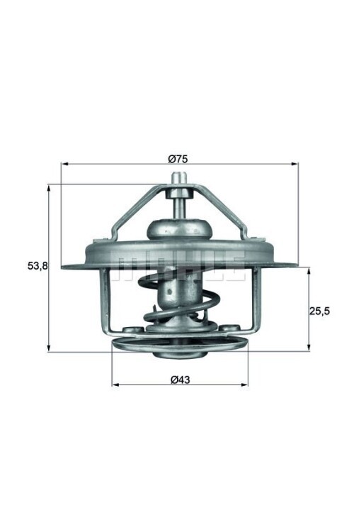 TERMOSTAT Thermostat insert