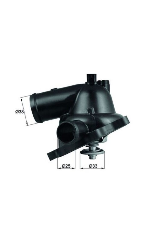TERMOSTAT Thermostat. map-controlled