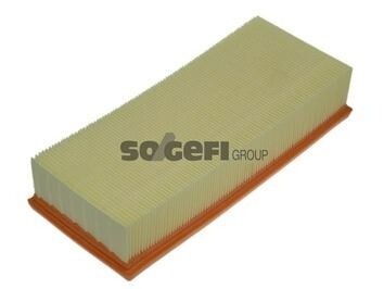 HAVA FİLTRESİ LGN-ESPACE-SAFRANE 2.2 96-01