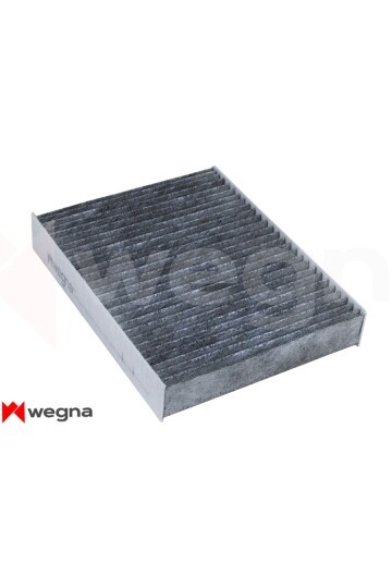 POLEN FILTRESI BMW F20 F30 F22 F32 F33 F34 F36 KARBONLU