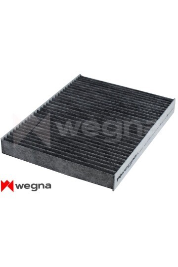 POLEN FİLTRESİ P407-C5-C6 1.6 16V-1.6 HDI-2.0 16V-2.0HDI 09> KARBONLU