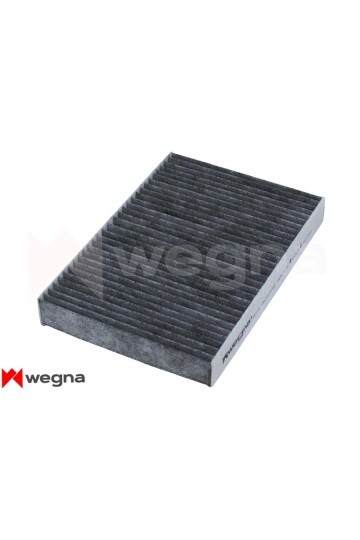 POLEN FİLTRESİ P508 1.6VTİ-1.6HDİ-2.0HDİ-2.2HDİ 2011 > KARBONLU