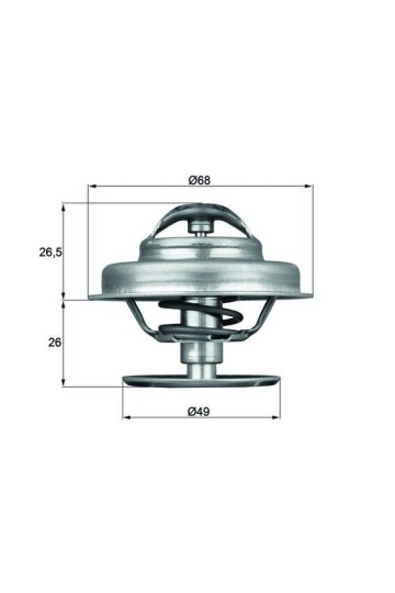 TERMOSTAT RENAULT 25 B29 89C