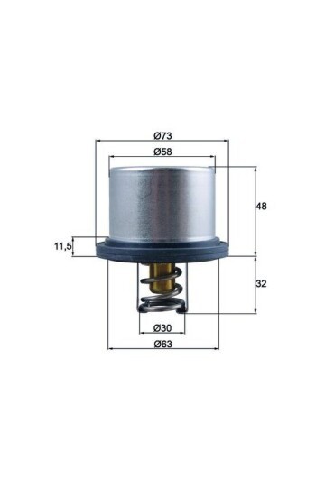 TERMOSTAT Thermostat insert