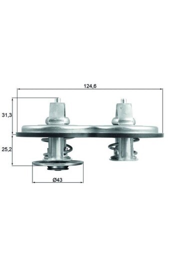 TERMOSTAT Thermostat insert