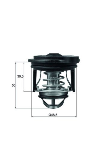 TERMOSTAT Thermostat. integral