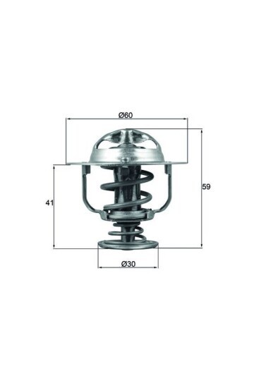 TERMOSTAT Thermostat insert